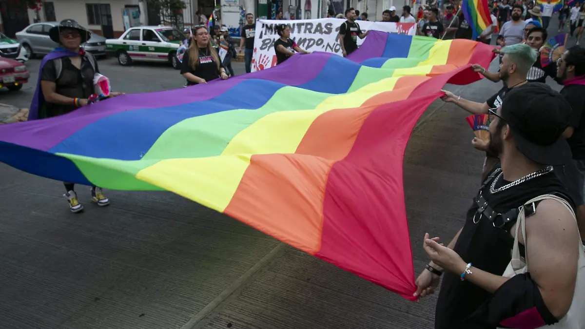 LGBTQ+ aspectos-marcha-xalapa-ricardo11dic (5)